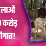 CM Dr. Mohan Yadav का ग्वालपालकों से संवाद | मिलेंगे ₹90 करोड़