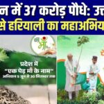 हरियाली से भर जाएगा Uttar Pradesh | एक दिन में 37 Crore पेड़!