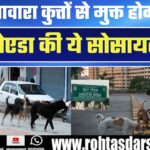 Noida की Society में खत्म हुआ आवारा कुत्तों का डर, NGO की पहल से मिली राहत