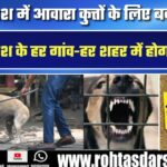 Uttar Pradesh में आवारा कुत्तों के लिए नया नियम, हर गांव-हर शहर में होगा बड़ा काम, आदेश जारी
