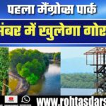 India का पहला Mangroves park तैयार! Mumbai के Gorai में खुलने जा रहा अनोखा टूरिस्ट स्पॉट