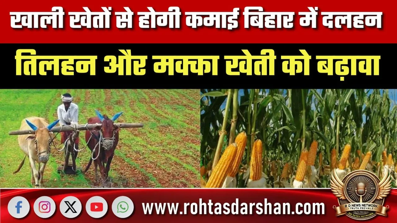 Bihar में दलहन-तिलहन खेती से बढ़ेगी कमाई