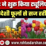 NDMC ने शुरू किया ट्यूलिप बल्ब रोपण, अब स्वदेशी फूलों से सज रही दिल्ली