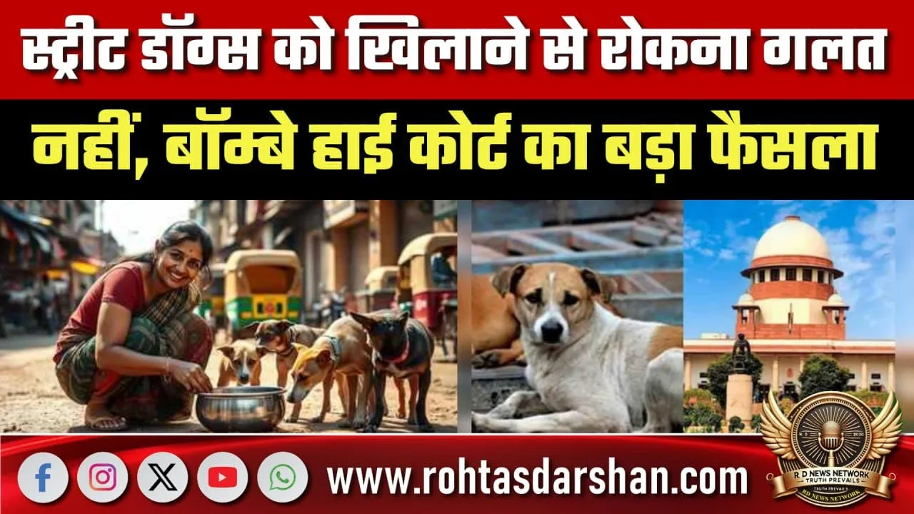 Street Dogs Feeding पर Bombay High Court फैसला