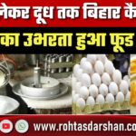 अंडे से लेकर दूध तक… बिहार कैसे बना देश का उभरता हुआ फूड हब?