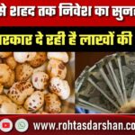 Makhana से Honey तक निवेश का सुनहरा मौका, Bihar Government दे रही लाखों की subsidy