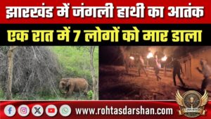 Jharkhand में जंगली हाथी का आतंक, एक रात में 7 लोगों की मौत; अब तक 17 की गई जान