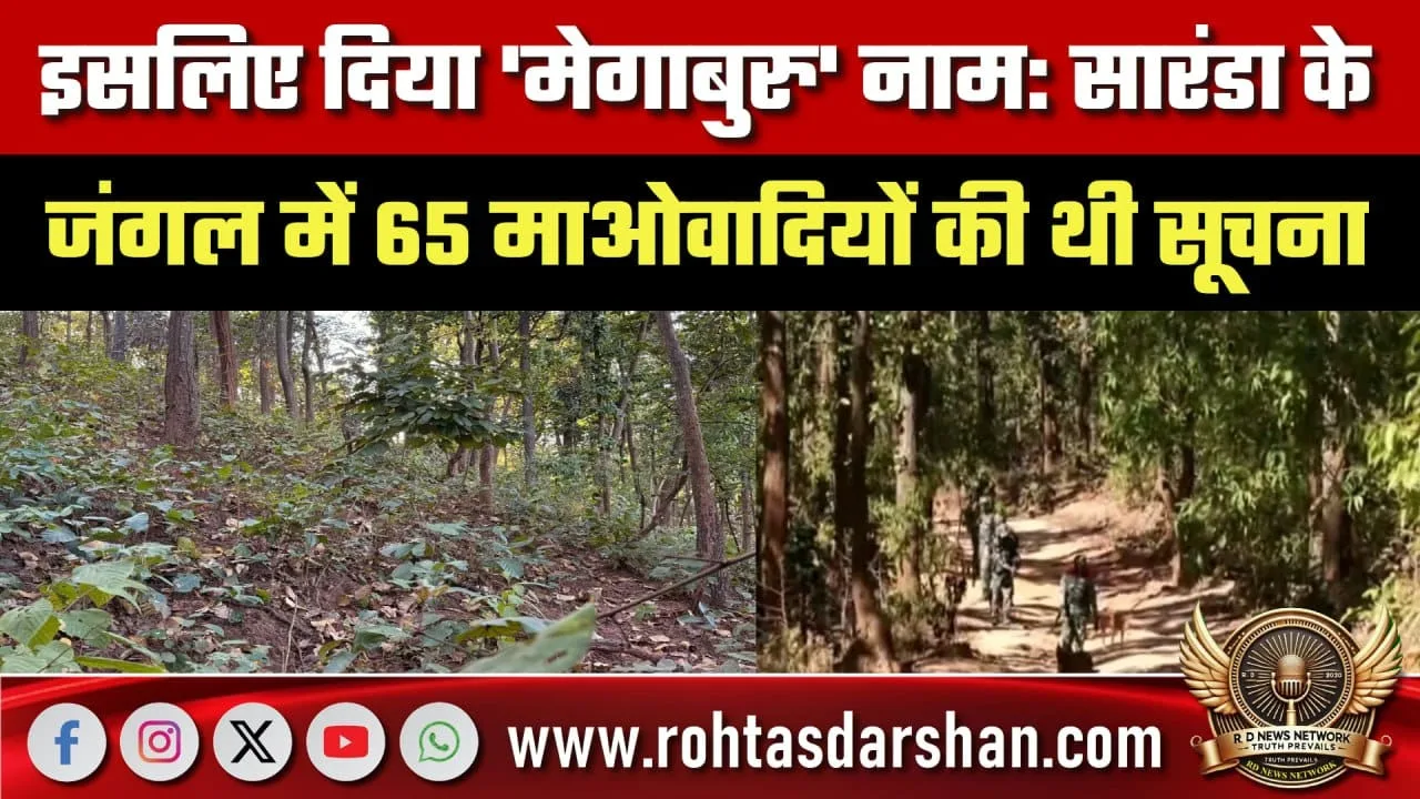 Saranda में Megaburu ऑपरेशन की वजह