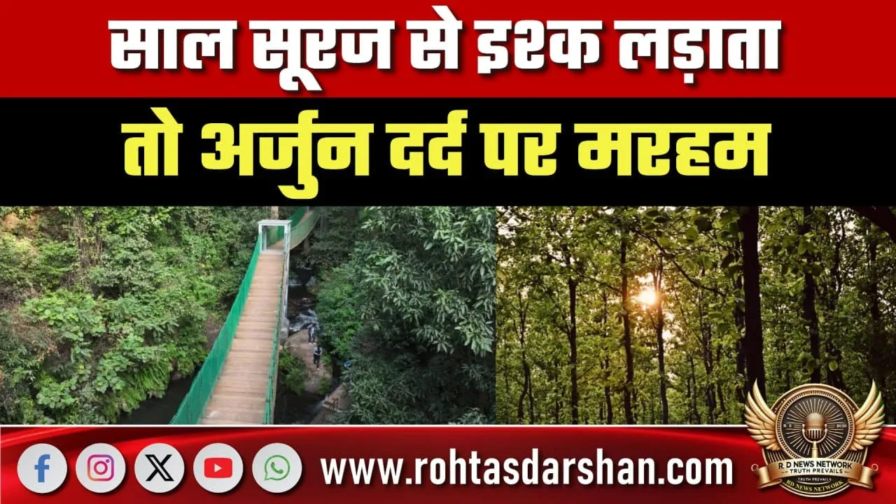 Saranda के जंगल साल, अर्जुन और प्रकृति का जादू