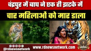 चंद्रपुर में बाघ ने एक ही झटके में चार महिलाओं को मार डाला, भंडारा में शख्स की ली जान, हिला महाराष्ट्र
