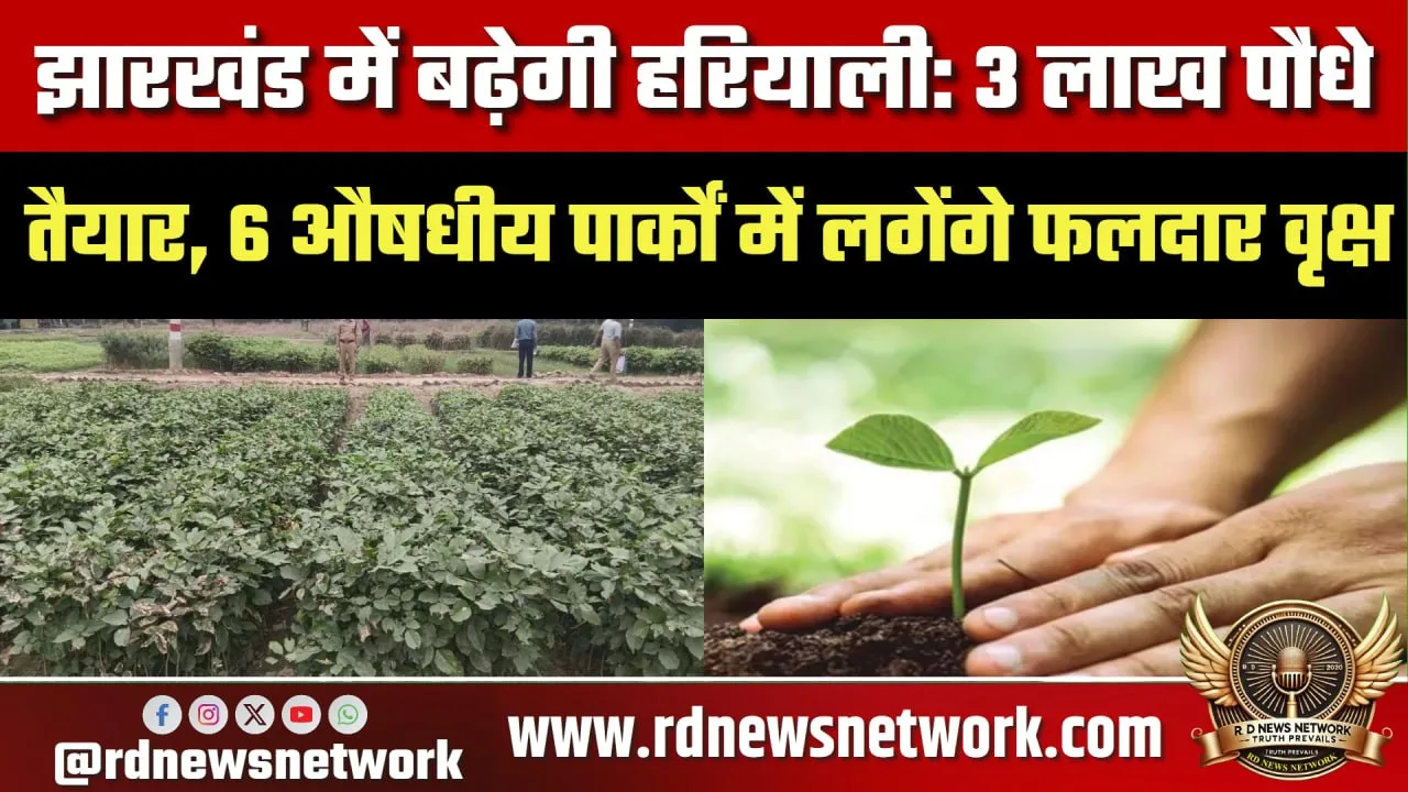 Jharkhand में 3 लाख पौधे, औषधीय पार्कों में रोपण